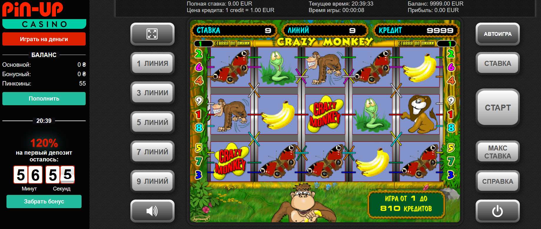 play in crazy monkey Pin-Up
