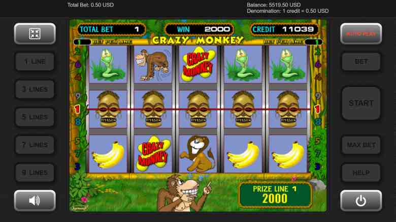 Crazy Monkey game style