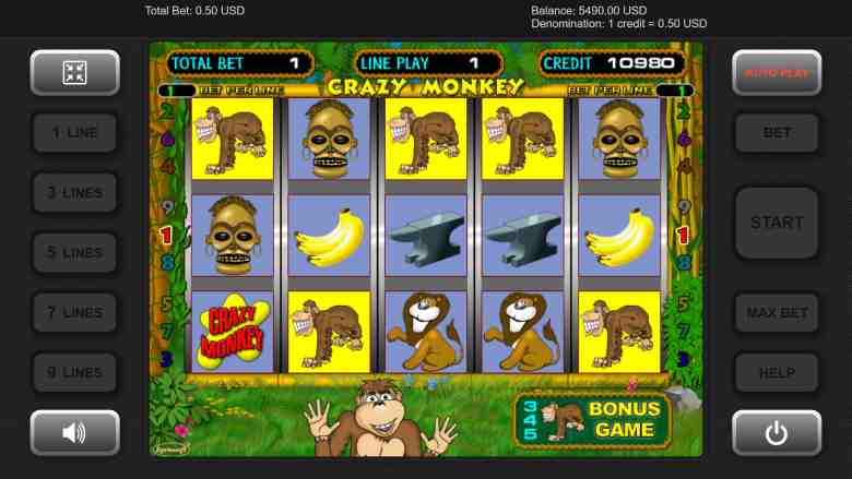 Crazy Monkey free game