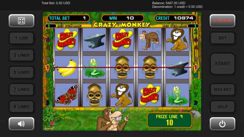 Crazy Monkey's odds