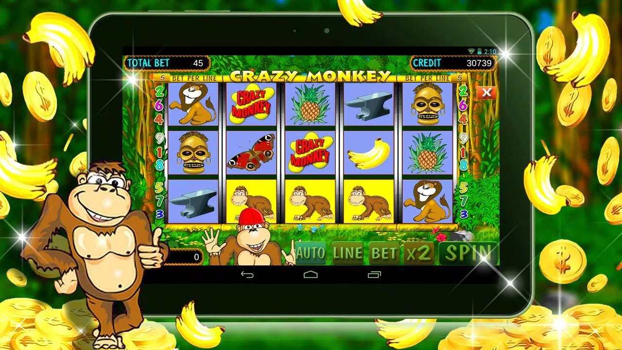 Mono loco juega con dinero real Pin-Up