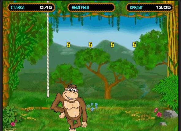 monkey play