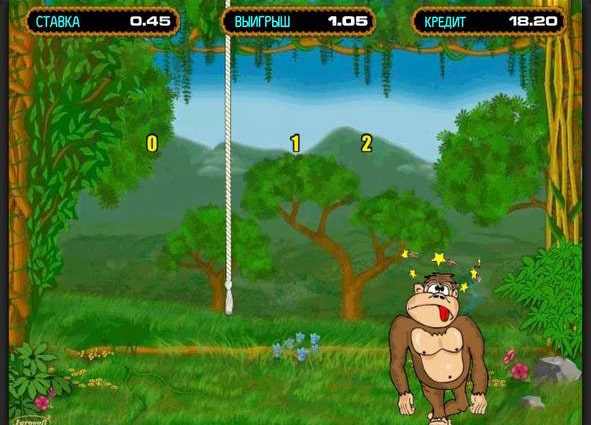 Crazy Monkey game strategy
