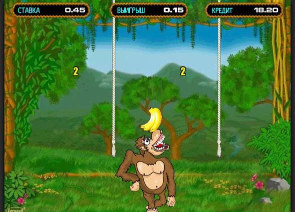 Crazy Monkey game web-site