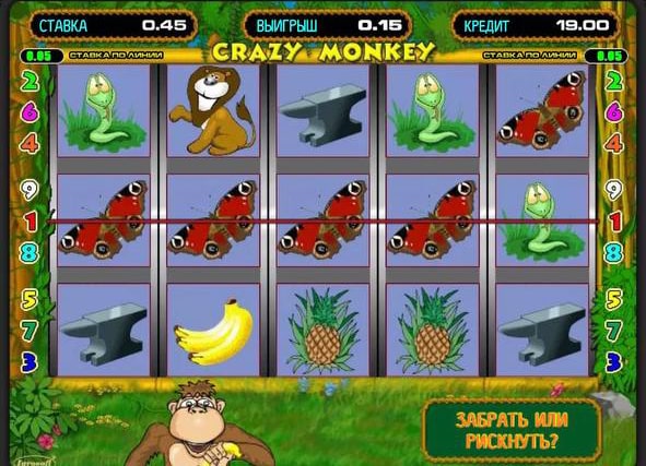 Crazy Monkey money game