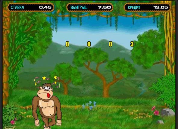 How to play Crazy Monkey