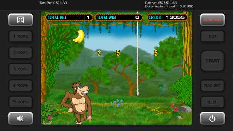 Crazy Monkey Rules