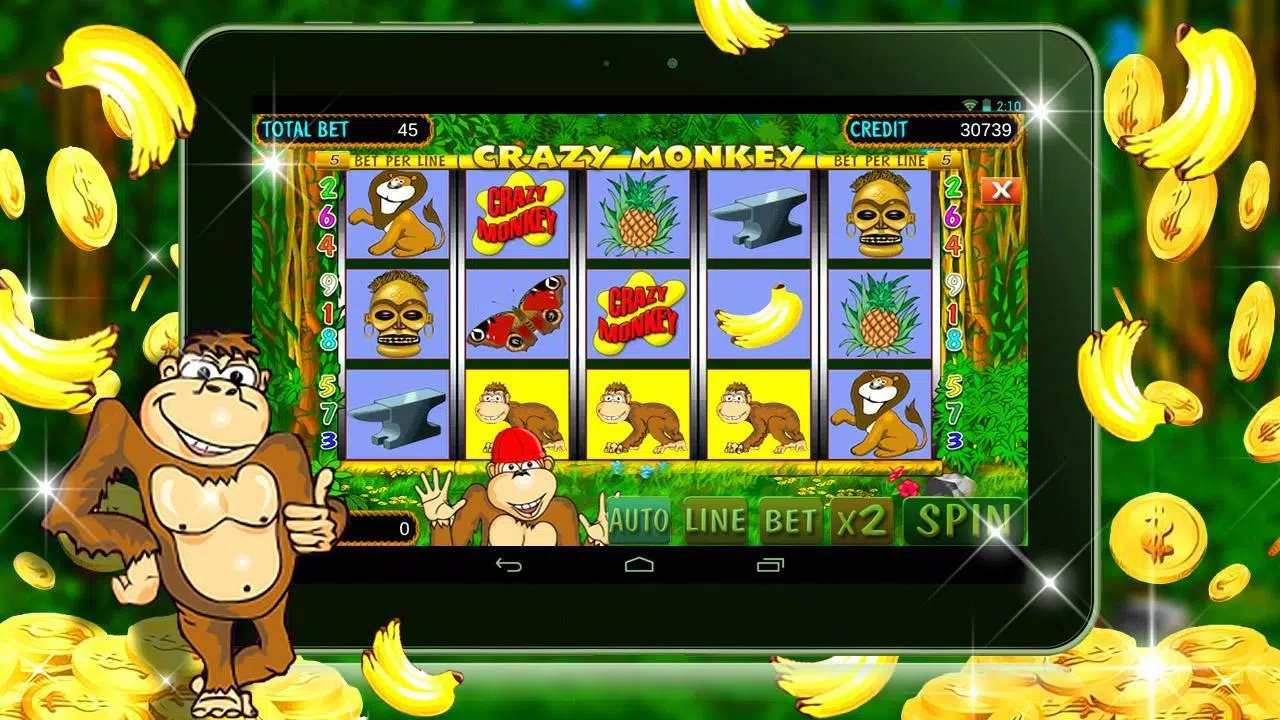 crazy monkey играть на реальные деньги 1win