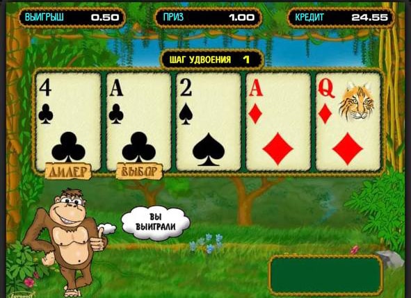 Риск-игра Crazy Monkey